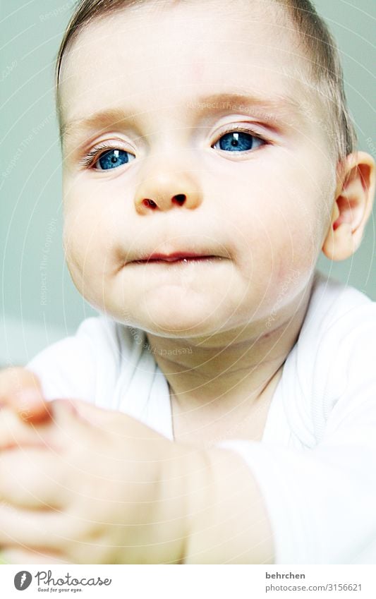 ein denker Baby Kindheit Sohn blaue augen Junge Gesicht Liebe 0-12 Monate Innenaufnahme Farbfoto Porträt aufmerksam niedlich schön nachdenklich träumen