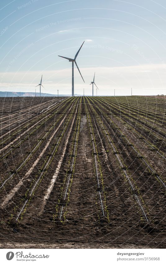 Windgenerator in landwirtschaftlichen Flächen. Sommer Industrie Technik & Technologie Umwelt Natur Landschaft Erde Himmel Wolken nachhaltig blau Energie Turbine