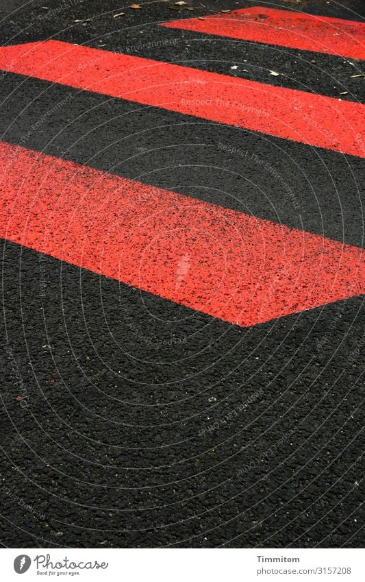 Zebrastreifen in Köln Stadt Verkehr Personenverkehr Straße Wege & Pfade Schilder & Markierungen ästhetisch außergewöhnlich rot schwarz Gefühle Farbfoto