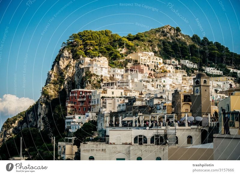 Capri Hafen Ferien & Urlaub & Reisen Tourismus Ausflug Abenteuer Ferne Freiheit Sightseeing Kreuzfahrt Italien Europa Hafenstadt Sehenswürdigkeit Felsen