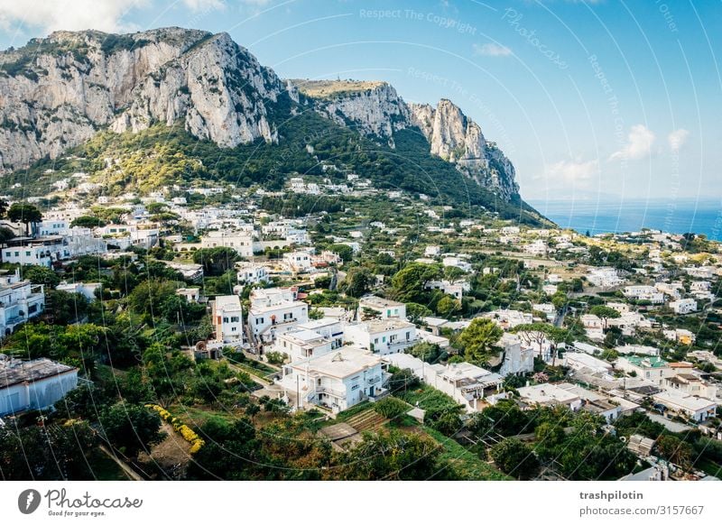 Capri Ferien & Urlaub & Reisen Tourismus Ausflug Abenteuer Ferne Freiheit Sightseeing Städtereise Hügel Felsen Berge u. Gebirge Küste Bucht Meer Insel Fernweh