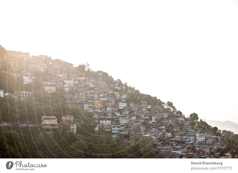 Favela Ferien & Urlaub & Reisen Tourismus Sightseeing Städtereise Stadt Stadtrand überbevölkert Haus Hütte Armut Kontrolle Wachstum Wandel & Veränderung