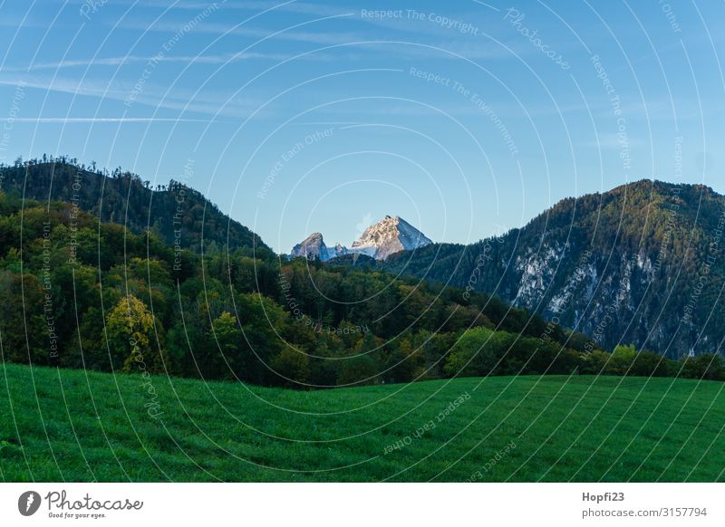 Alpen im Berchtesgadener Land Umwelt Natur Landschaft Pflanze Himmel Wolkenloser Himmel Sonne Herbst Schönes Wetter Baum Gras Felsen Berge u. Gebirge Gipfel