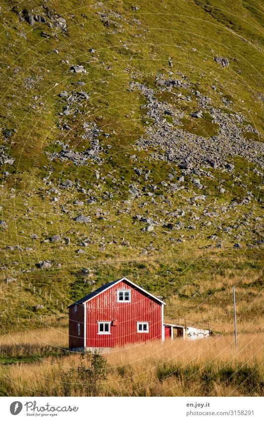 Haus vorm Berg Ferien & Urlaub & Reisen Gras Wiese Hügel Norwegen Skandinavien Nordland Lofoten Einfamilienhaus Hütte Fassade grün rot Einsamkeit Tourismus