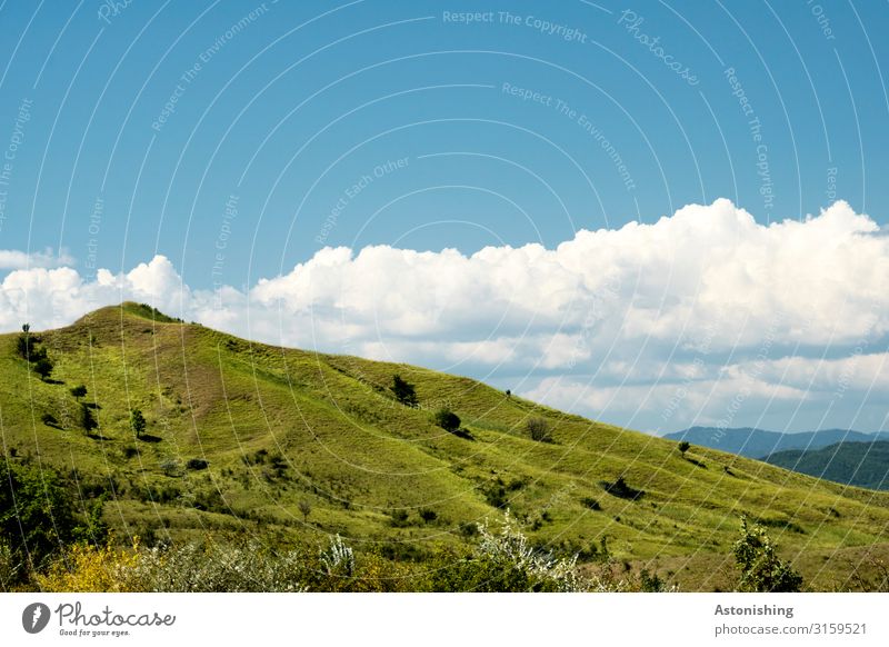 grüner Hügel Umwelt Natur Landschaft Pflanze Luft Himmel Horizont Sommer Wetter Schönes Wetter Gras Sträucher Wiese Berge u. Gebirge Karpaten Gipfel Rumänien