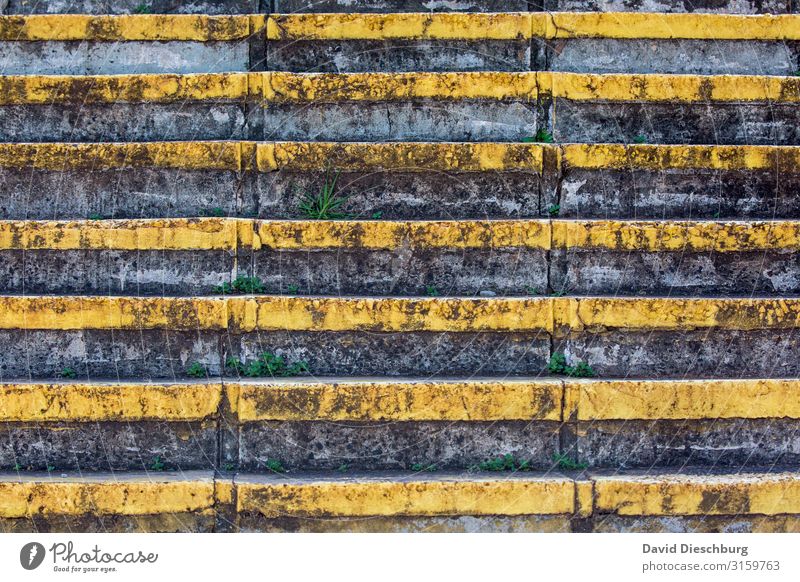 Treppe Stein Beton Linie gelb grau schwarz Erfolg Pflanze Unkraut grün Symmetrie Farbfoto Außenaufnahme Muster Strukturen & Formen Menschenleer Tag Licht