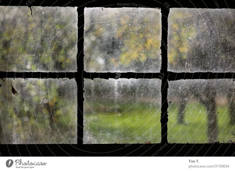 Fensterblick Polen Haus Bauernhof Herbst Glas dreckig Farbfoto Innenaufnahme Menschenleer Tag