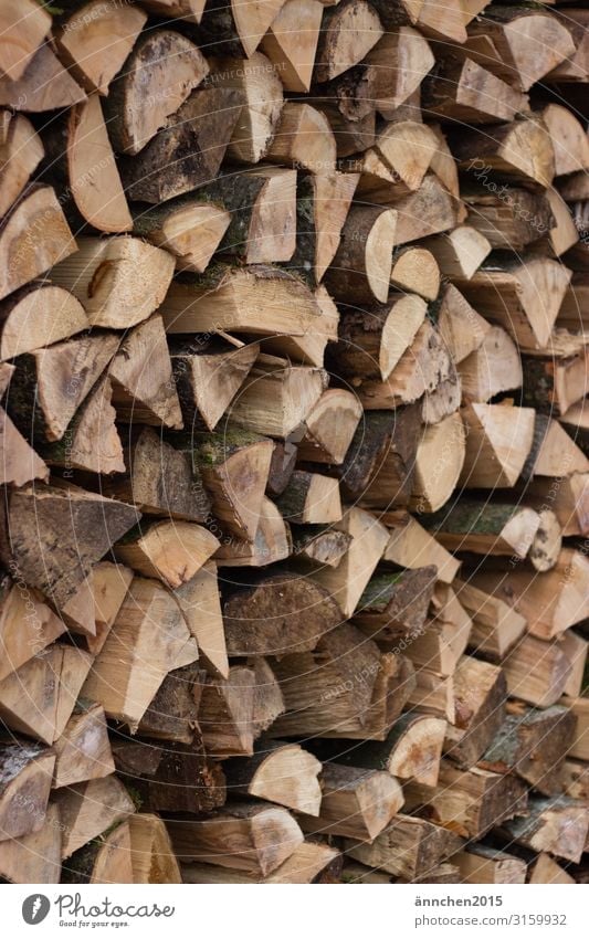 Holz für den Winter Herd & Backofen Ofenheizung Wald Natur Holzstapel Brennholz Außenaufnahme zerkleinern hacken Feuer Kamin braun