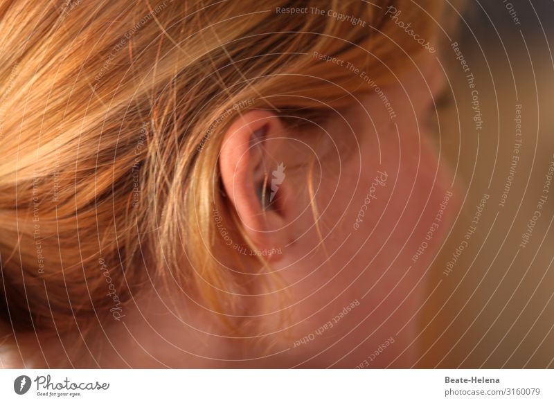 schauen - hören - verstehen (2) schön Haare & Frisuren Haut Gesicht Gesundheit Wellness Wohlgefühl Zufriedenheit ruhig Junge Frau Jugendliche atmen Denken
