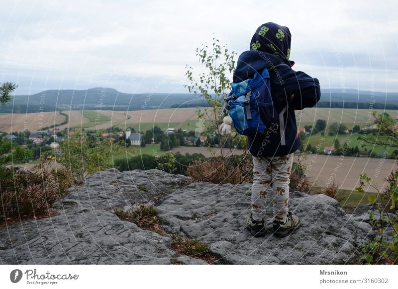 Wandertour Sächsische Schweiz mit Kleinkind Sachsen Ausflug Berge u. Gebirge Ausfluzgsziel Bergsteigen Herbst herbstlich oben Wald Menschenleer Farbfoto