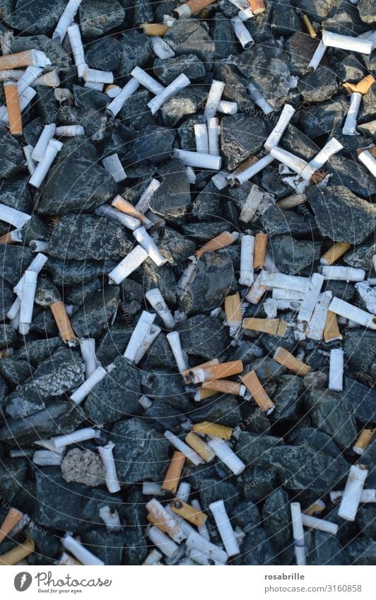 Zigarettenkippen | !Trash! 2019 Reichtum Rauchen Laster Ordnungsliebe Reinlichkeit Sauberkeit egoistisch Drogensucht Dekadenz Umweltverschmutzung Verbote