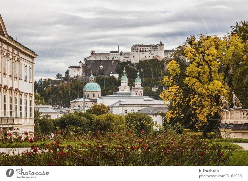 Salzburg - Blick vom Mirabellgarten auf die Festung Hohensalzburg Tourismus Wolken Herbst Baum Sträucher Rose Garten Park Stadt Altstadt Kirche Dom