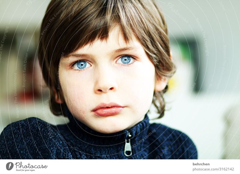 behind blue eyes Kind Junge Familie & Verwandtschaft Kindheit Haut Kopf Haare & Frisuren Gesicht Auge Nase Mund Lippen 3-8 Jahre träumen schön blau Traurigkeit