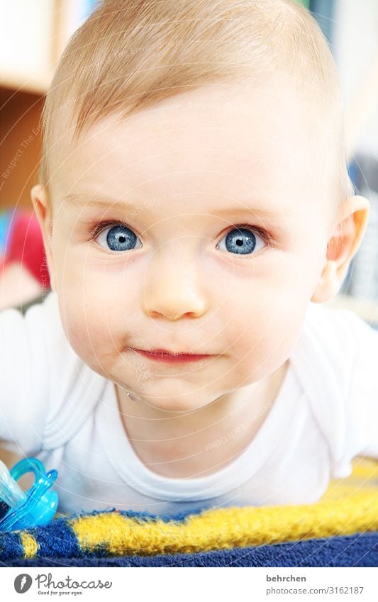 2011 Baby Junge Familie & Verwandtschaft Kindheit Haut Kopf Haare & Frisuren Gesicht Auge Ohr Nase Mund Lippen 0-12 Monate Neugier niedlich blau Glück
