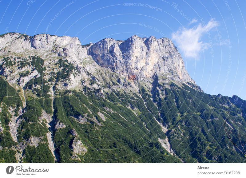 Herausforderung Berge u. Gebirge wandern Landschaft Himmel Sommer Schönes Wetter Alpen Berchtesgadener Alpen groß hoch natürlich Klischee blau grün weiß