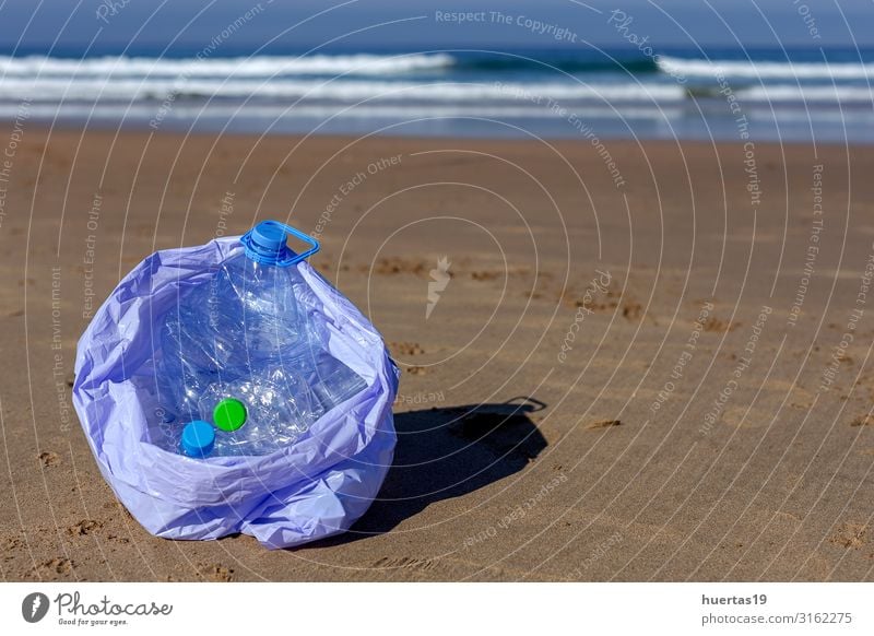 Müll und Kunststoffe reinigen den Strand Flasche Lifestyle Meer Frau Erwachsene Hand Umwelt Natur Landschaft Sand Küste Hund Paket nachhaltig Sauberkeit blau