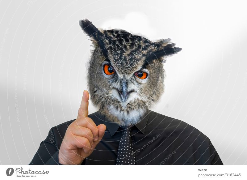Man with owl head raises his finger androgyn Kopf Finger 1 Mensch Tier Wildtier Vogel Eulenvögel gruselig listig klug Inspiration seriös Surrealismus man