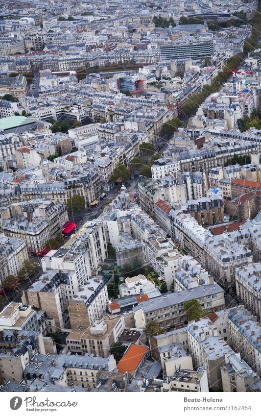Über den Dächern von Paris 2 Lifestyle Städtereise Häusliches Leben Haus Kamin ausgehen Arbeitsplatz Wirtschaft Industrie Handel Architektur Umwelt Baum