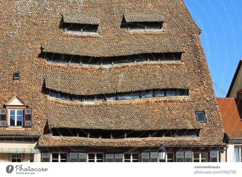 Maison du Sel (das Salzhaus) in Wissembourg Alba Iulia Frankreich Europa Stadt Altstadt Menschenleer Haus Bauwerk Gebäude Architektur Dach Sehenswürdigkeit