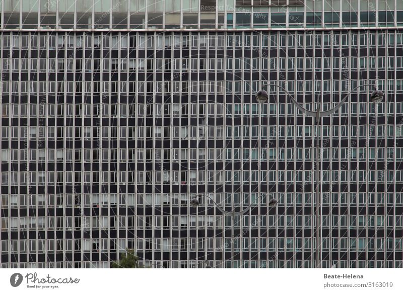 Hochhaus: Leben in der Großstadt Stadt Paris Straßenlaternen Zentrum Architektur Gebäude Außenaufnahme Haus riesig Wolkenkratzer anonym Nachbarschaft