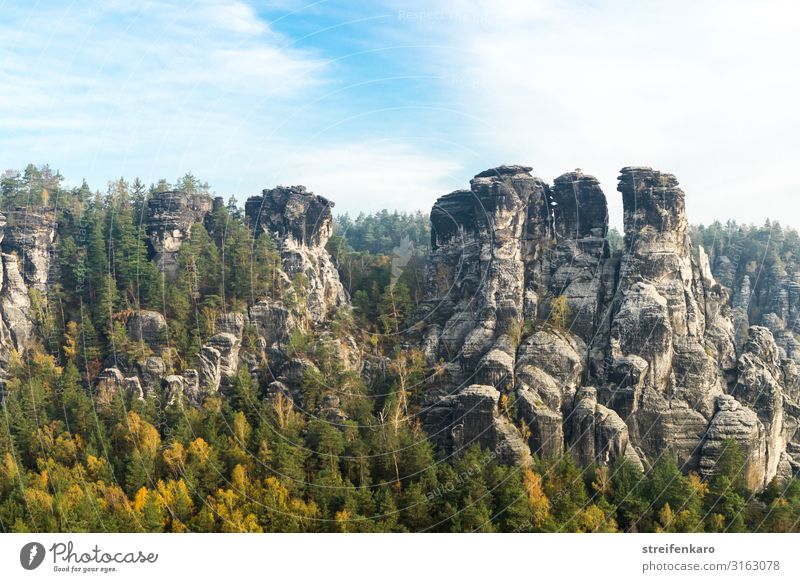 Elbsandsteingebirge, Blick von der Basteibrücke auf die Ganssteine Ferien & Urlaub & Reisen Ausflug Berge u. Gebirge wandern Umwelt Natur Landschaft Pflanze