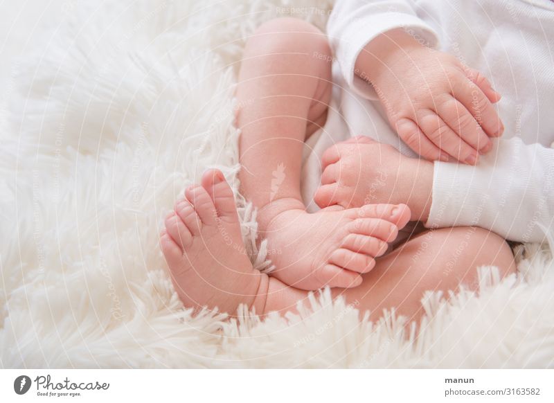 kopflos Gesundheit Baby Familie & Verwandtschaft Leben Körper Hand Finger Beine Fuß 1 Mensch 0-12 Monate Lebensfreude Vertrauen Schutz Verantwortung Fürsorge