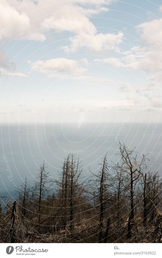 monte pellegrino Ferne Freiheit Sommerurlaub Umwelt Natur Landschaft Urelemente Wasser Himmel Wolken Schönes Wetter Dürre Baum Wald Meer Italien Sizilien