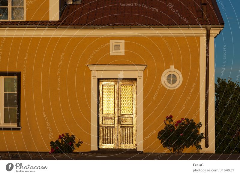goldene Tür Haus Gebäude Fassade Fenster Dachrinne Holz gülden Sonnenlicht Abendsonne Licht leuchten abends Rosenbüsche Fliederbusch Sommer Sommerabend