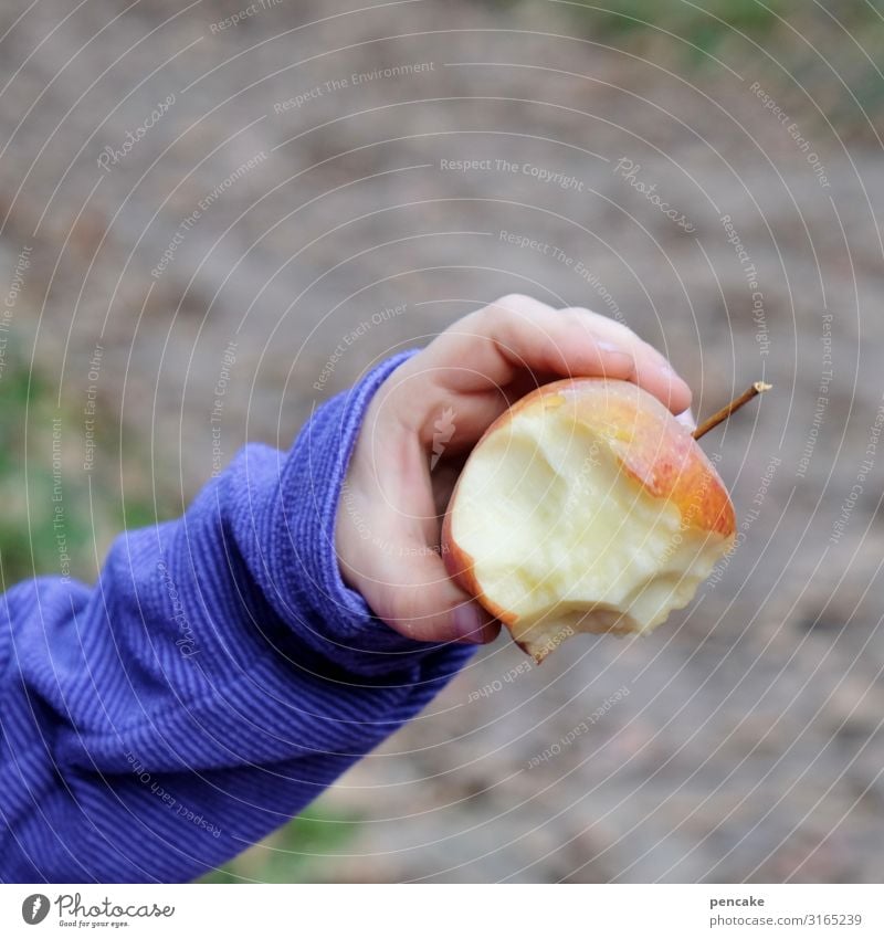 geräusch | schnurps Apfel Frucht rot Ernährung Gesundheit Nahaufnahme frisch Bioprodukte Lebensmittel saftig Kind Kinderhand Schwache Tiefenschärfe süß Farbfoto