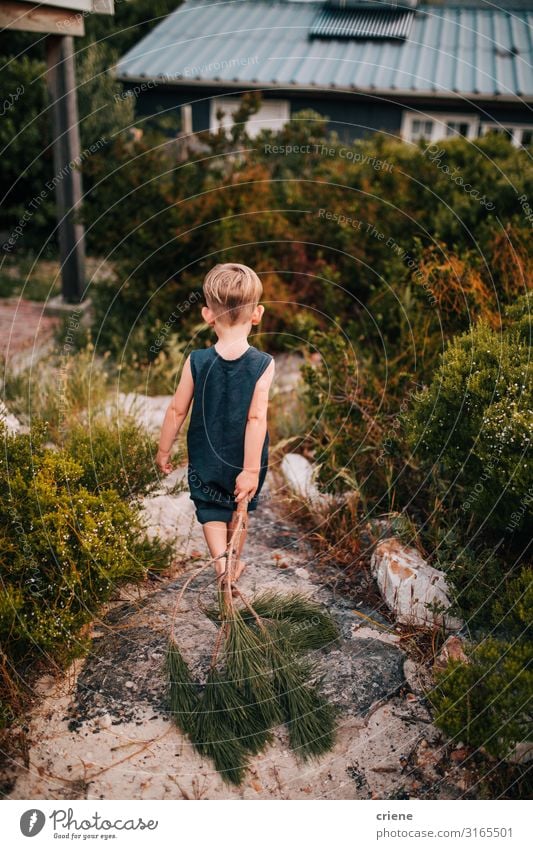 kleiner Junge, der im Wald neben der Hütte spazieren geht. Freude Glück Sommer wandern Kind Mensch Natur Park laufen jung Menschen Aktion Spaziergang