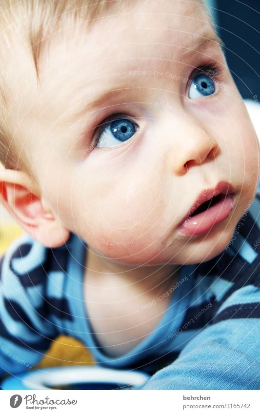 weltentdecker Baby Junge Familie & Verwandtschaft Kindheit Gesicht Auge Ohr Nase Mund Lippen 0-12 Monate beobachten entdecken Neugier niedlich blau Vertrauen