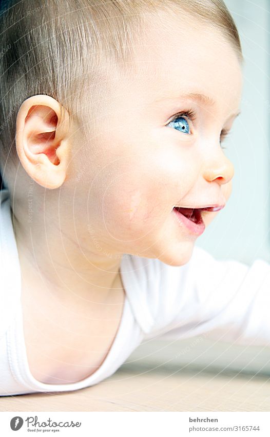 das schönste lächeln überhaupt Baby Junge Familie & Verwandtschaft Kindheit Haut Kopf Haare & Frisuren Gesicht Auge Ohr Nase Mund Lippen blau Glück Fröhlichkeit