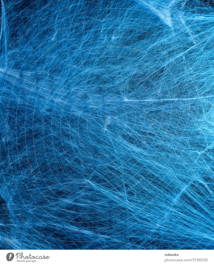 gestrecktes weißes Netz mit blauer Hintergrundbeleuchtung Dekoration & Verzierung Halloween dreckig dunkel natürlich schwarz Angst Entsetzen Farbe Spinnennetz