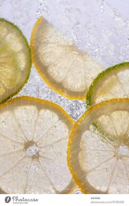 Zitronen- und Limettenscheiben in Eiswasser Zitronenscheibe Frucht Bioprodukte Getränk Erfrischungsgetränk Trinkwasser kalt nass rund sauer gelb grün
