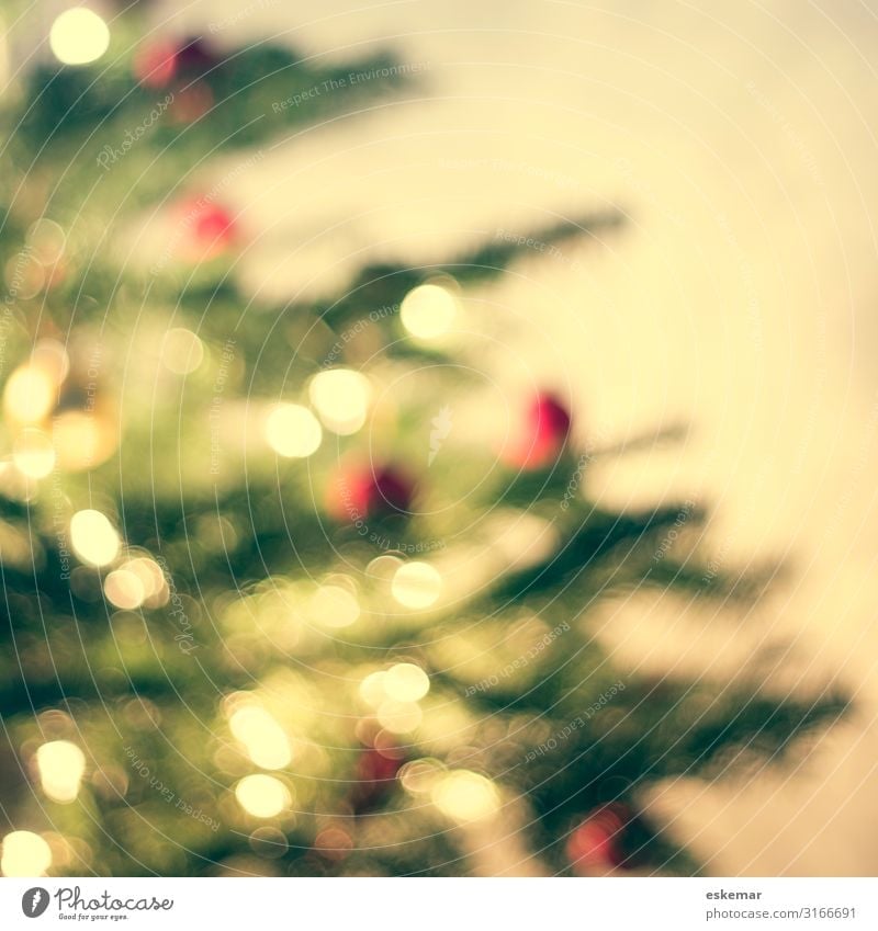 christmas tree, defocused Häusliches Leben Wohnung Innenarchitektur Dekoration & Verzierung Raum Wohnzimmer Feste & Feiern Weihnachten & Advent