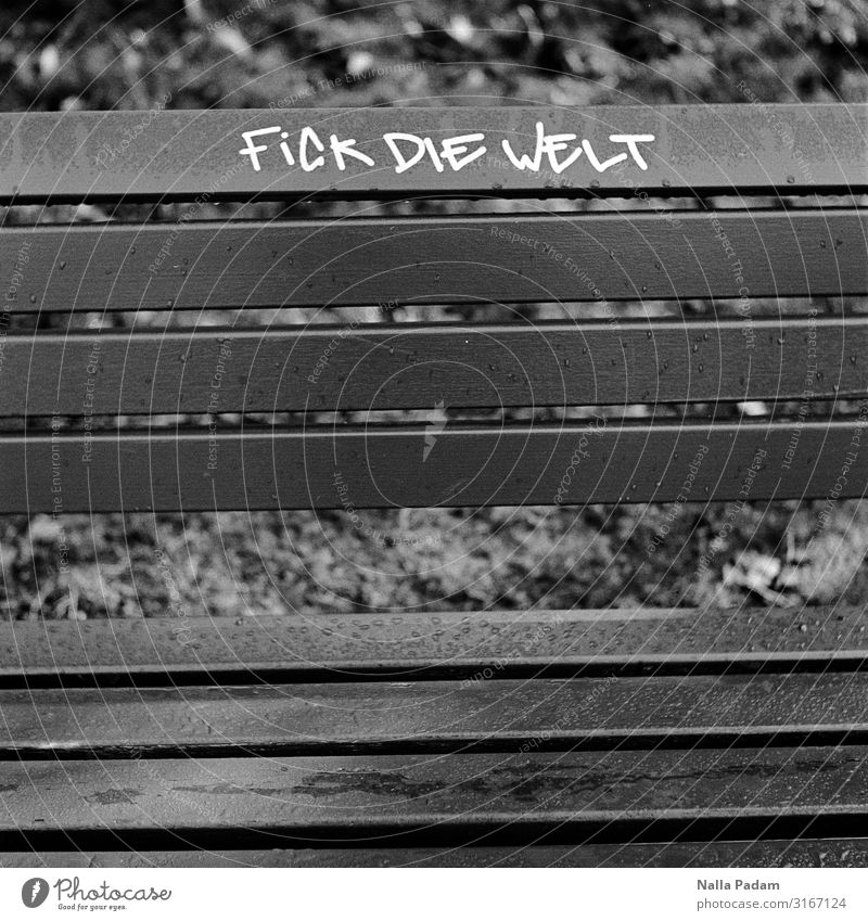 Dick Wie Felt Bochum Deutschland Europa Stadt Menschenleer Holz Graffiti sitzen grau schwarz Ärger gereizt Frustration Verbitterung Kommunizieren Bank Parkbank