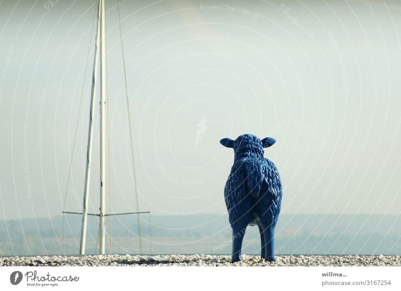 Blaues Schaf schaut sehnsuchtsvoll über den See Fernweh Mast blau Hinterteil Kunststoff Skulptur Ferne Sehnsucht Blick in die Ferne Kies Textfreiraum