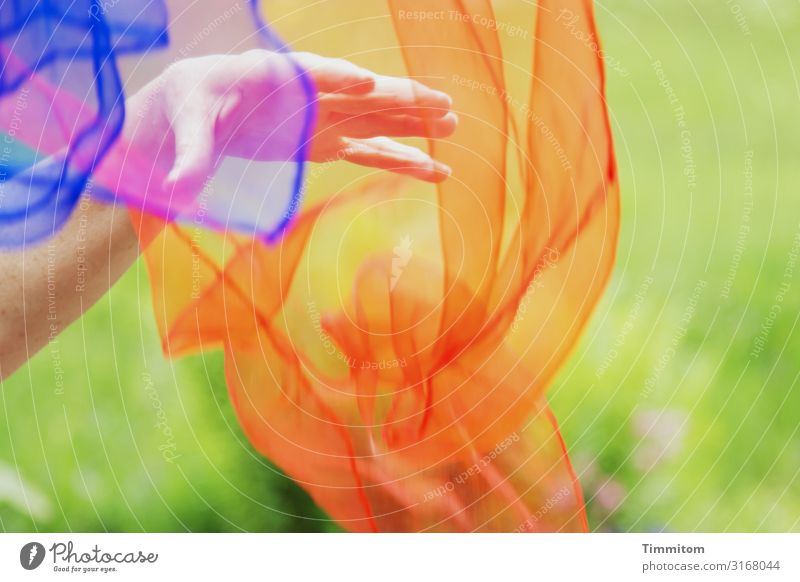 Bunte Tücher fangen Freizeit & Hobby Hand 1 Mensch Park Wiese Jongliertücher Kunststoff werfen blau mehrfarbig grün orange rot Gefühle Freude Sport jonglieren