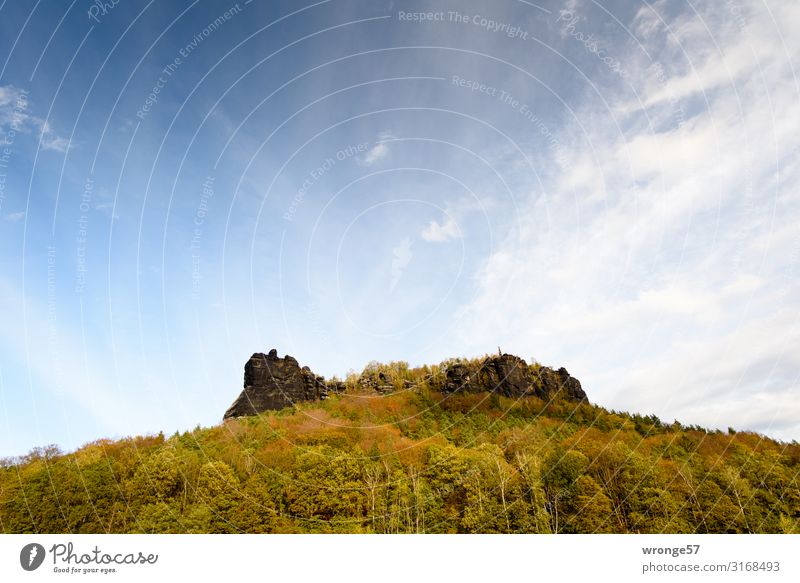 Der herbstliche Lilienstein im Elbsandsteingebirge Natur Sächsische Schweiz Herbst Herbstgefühle Herbstwald Sandstein Berge u. Gebirge Landschaft Außenaufnahme