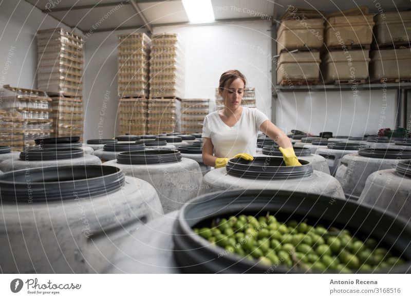 Qualität der Oliven Lebensmittel Gemüse Frucht Lifestyle Mensch feminin Frau Erwachsene 1 30-45 Jahre Arbeit & Erwerbstätigkeit alt Olivenöl Industrie Beruf
