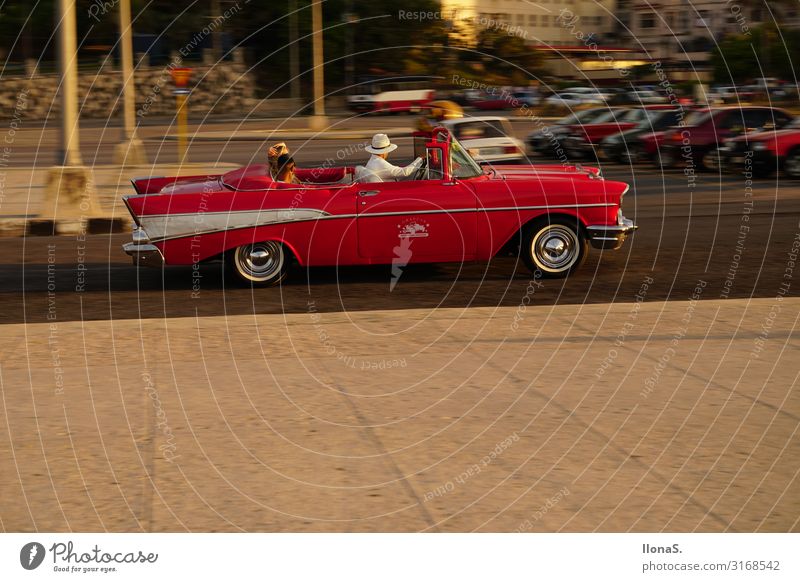 Oldtimer in Havanna Mensch Kopf 3 Schönes Wetter Küste Meer Insel Stadt Hauptstadt Sehenswürdigkeit Verkehr Verkehrsmittel Personenverkehr Autofahren Straße