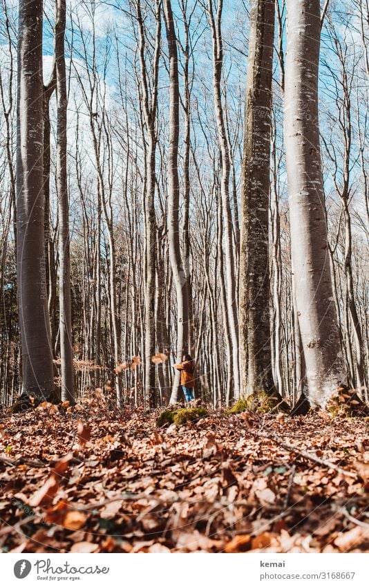 Frau umarmt  Baum im Wald Leben harmonisch Wohlgefühl Zufriedenheit Sinnesorgane Erholung ruhig Meditation Freizeit & Hobby Freiheit Mensch feminin Erwachsene 1
