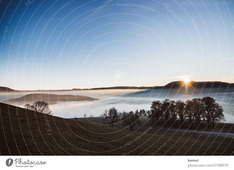 Abend mit Nebel und Sonne am Albtrauf (Schwäbische Alb) abends Sonnenuntergang Baum Landschaft ländlich Idylle Hügel Hügellandschaft Natur Naturschönheit