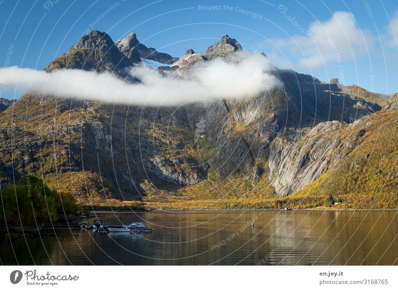 hängen bleiben Ferien & Urlaub & Reisen Ausflug Umwelt Natur Landschaft Himmel Wolken Herbst Schönes Wetter Felsen Berge u. Gebirge Gipfel Fjord Lofoten