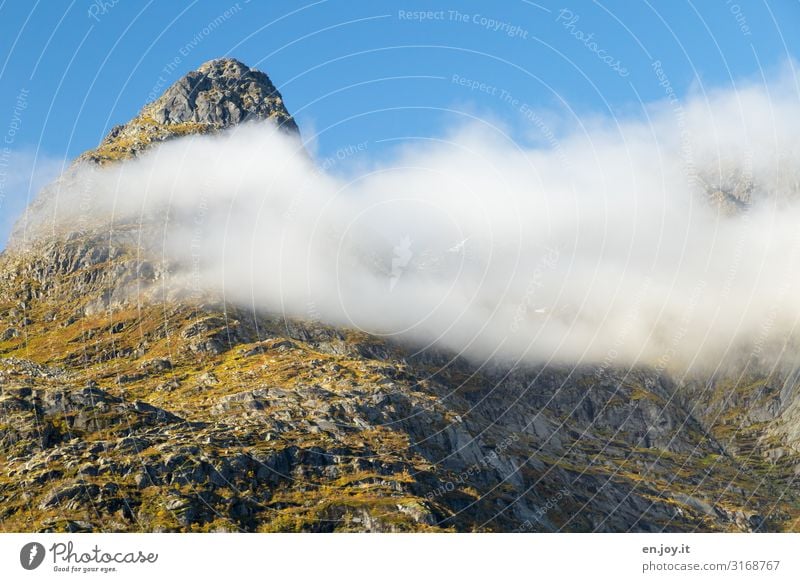 umschmeicheln Ferien & Urlaub & Reisen Umwelt Natur Landschaft Urelemente Himmel Wolken Herbst Schönes Wetter Nebel Felsen Berge u. Gebirge Gipfel Lofoten