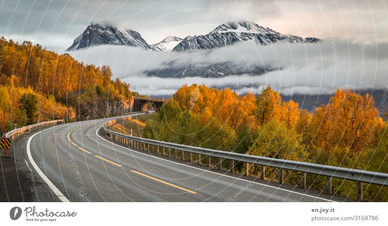 freie Fahrt Ferien & Urlaub & Reisen Ferne Umwelt Natur Landschaft Wolken Herbst Nebel Wald Berge u. Gebirge Norwegen Skandinavien Lofoten Verkehr Verkehrswege
