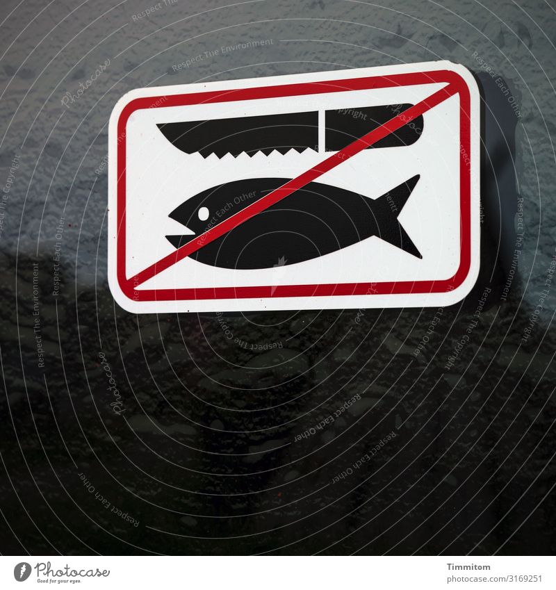 Hier nicht schlachten! Lebensmittel Fisch Ernährung Ferien & Urlaub & Reisen Dänemark Kleinstadt Toilettenhaus Tür Glas Kunststoff Zeichen