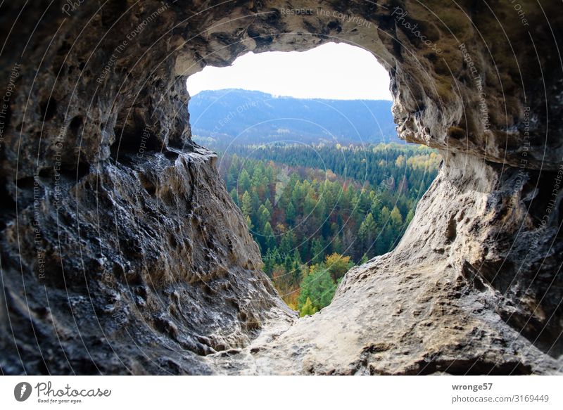 weitsichtig | Sächsische Schweiz Ferien & Urlaub & Reisen Ausflug Ferne Natur Landschaft Horizont Herbst Schönes Wetter Berge u. Gebirge Höhle Blick Coolness