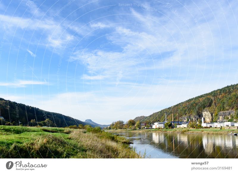 Das Elbtal bei Bad Schandau mit dem Lilienstein im Hintergrund Herbst Sächsische Schweiz Elbe Fluss Ufer Elbwiesen Sachsen Horizont Ferne Weitwinkel Landschaft