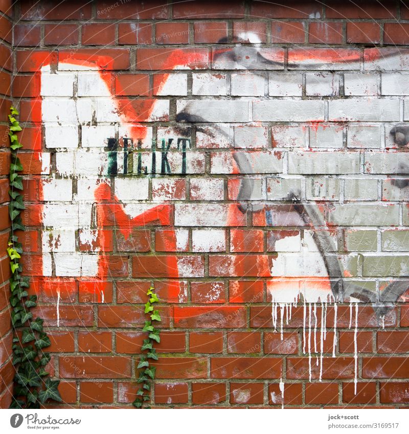 Delikt M Subkultur Straßenkunst Farn Mauer Backstein Graffiti trashig rot Stimmung Farbe Kreativität Wandel & Veränderung Wort Schablonenschrift Typographie